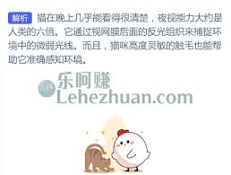 猫的夜视能力比人类强几倍
