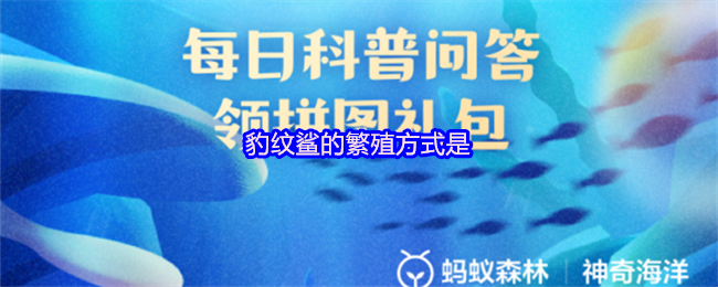 豹纹鲨的繁殖方式是