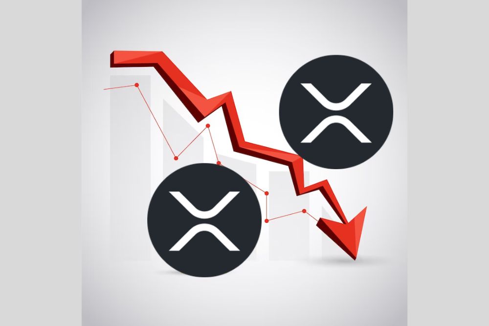 XRP今日下跌的主要原因