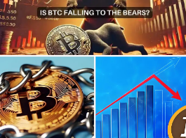 操作教程:教你如何找到正确官方Telegram群组/频道?三招避开诈 骗群的关键原则