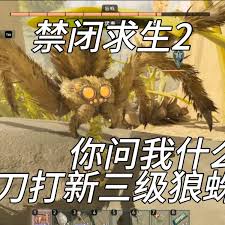 禁闭求生2怎么无伤打狼蛛