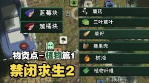 禁闭求生2蓝莓越橘松针物资位置在哪
