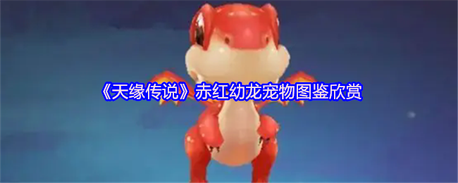 《天缘传说》赤红幼龙宠物图鉴欣赏