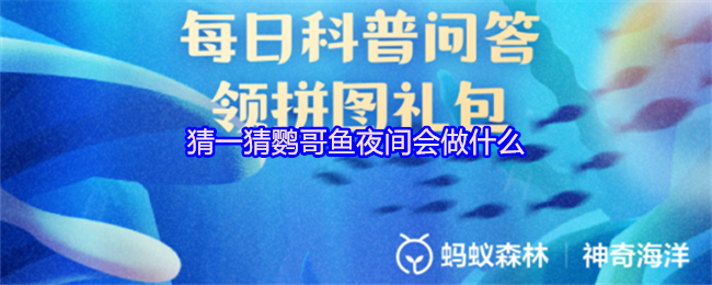 猜一猜鹦哥鱼夜间会做什么