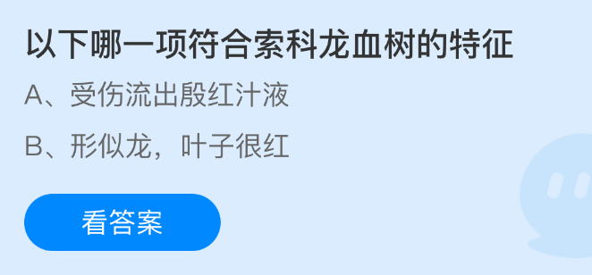 以下哪一项符合索科龙血树的特征