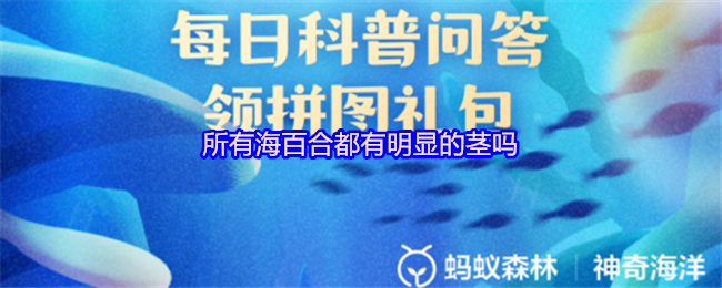 所有海百合都有明显的茎吗