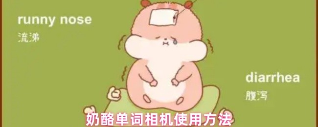 奶酪单词相机使用方法