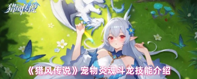 《猎风传说》宠物炎魂斗龙技能介绍