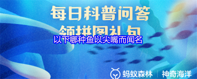 以下哪种鱼以尖嘴而闻名