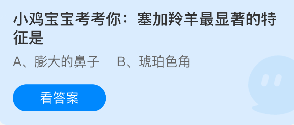 小鸡宝宝考考你：塞加羚羊最显著的特征是