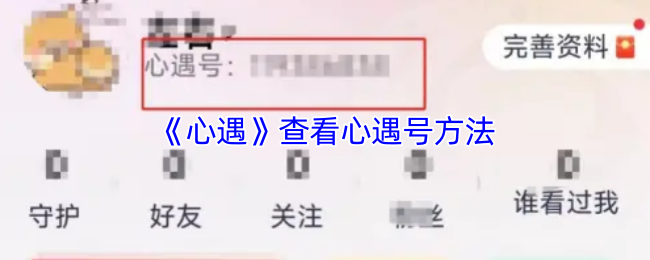 《心遇》查看心遇号方法