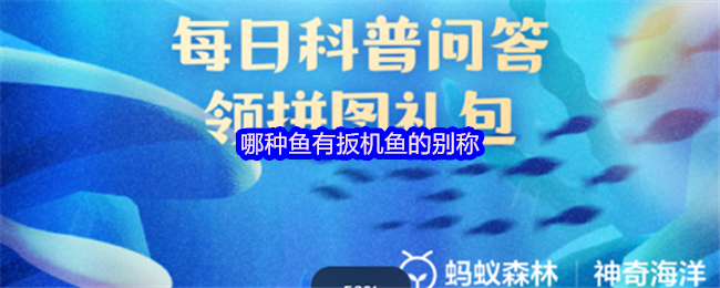 哪种鱼有扳机鱼的别称