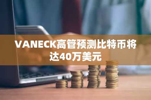 VANECK高管预测比特币将达40万美元-第1张图片