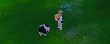 牧场物语风之繁华集市如何钓鱼