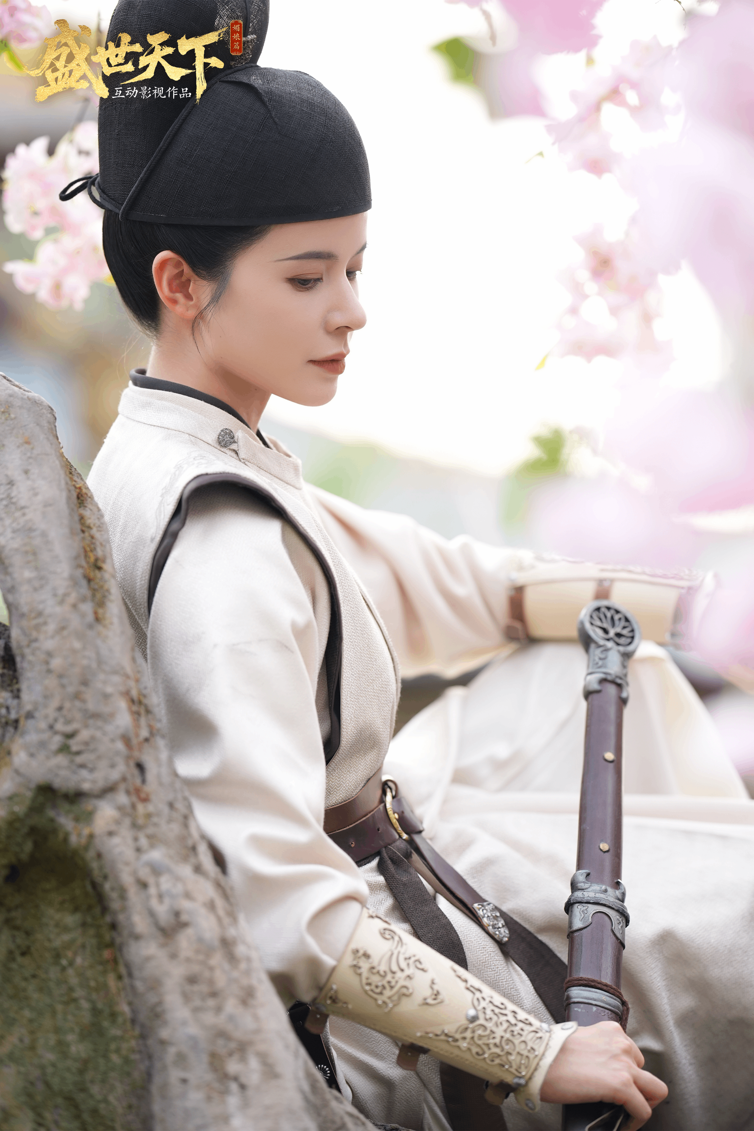 《盛世天下》风华人物录之袭心介绍