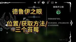 空洞骑士丝之歌德鲁伊之眼护符如何获取