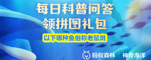 以下哪种鱼俗称老鼠斑