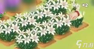 我的花园世界如何进行批量种花