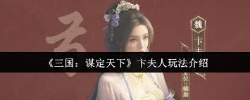 三国谋定天下卞夫人怎么玩