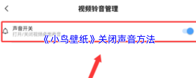 《小鸟壁纸》关闭声音方法