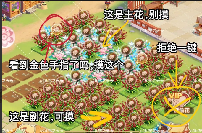 《我的花园世界》花灵召唤攻略