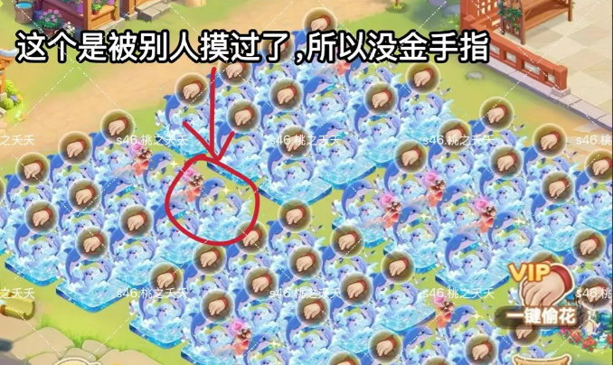 《我的花园世界》花灵召唤攻略