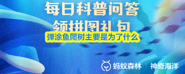 弹涂鱼爬树主要是为了什么