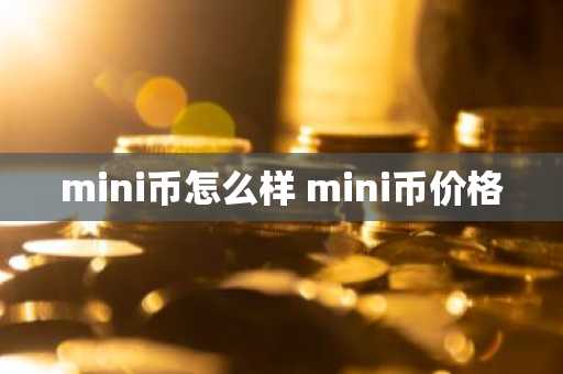 mini币怎么样 mini币价格-第1张图片