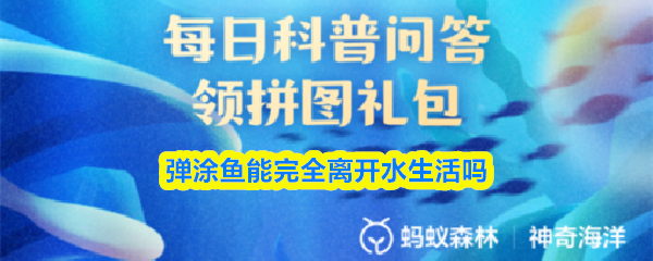 弹涂鱼能完全离开水生活吗