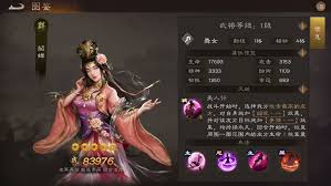 新三国志曹操传李儒厉害吗