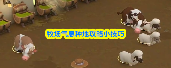 牧场气息种地攻略小技巧