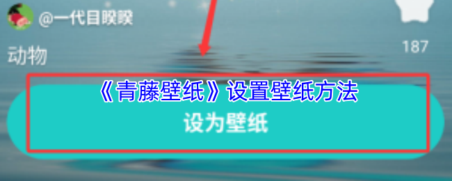 《青藤壁纸》设置壁纸方法