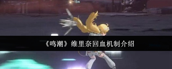 《鸣潮》维里奈回血机制介绍