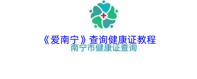 《爱南宁》查询健康证教程