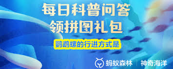 鹦鹉螺是如何行进的