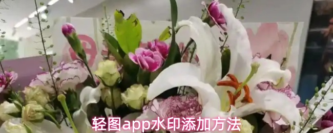 轻图app水印添加方法