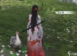 燕云十六声不见山鹅游记玩法是什么