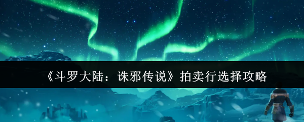 《斗罗大陆：诛邪传说》拍卖行选择攻略