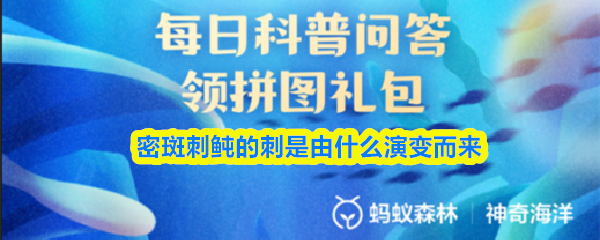 密斑刺鲀的刺是由什么演变而来
