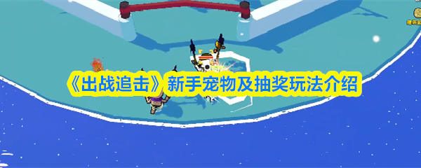 《出战追击》新手宠物及抽奖玩法介绍