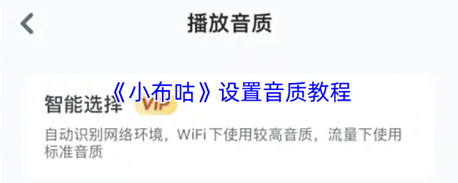 《小布咕》设置音质教程
