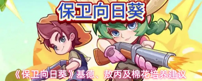 《保卫向日葵》基德、敖丙及棉花培养建议