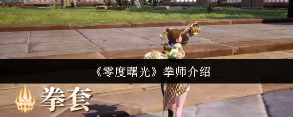 《零度曙光》拳师介绍