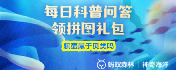 藤壶属于贝类吗