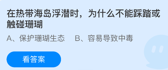 在热带海岛浮潜时，为什么不能踩踏或触碰珊瑚