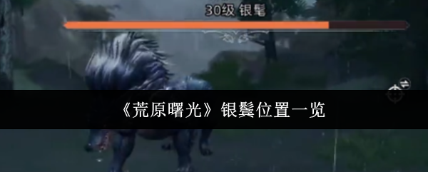 《荒原曙光》银鬓位置一览