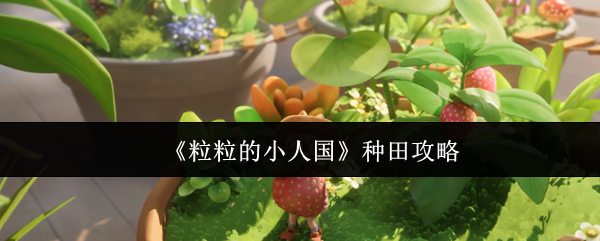 《粒粒的小人国》种田攻略