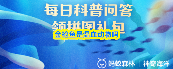 金枪鱼是温血动物吗
