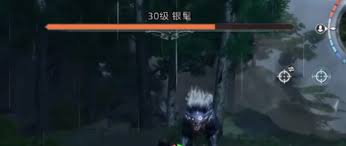 荒原曙光银鬓位置在哪