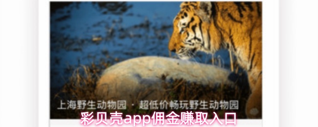 彩贝壳app佣金赚取入口